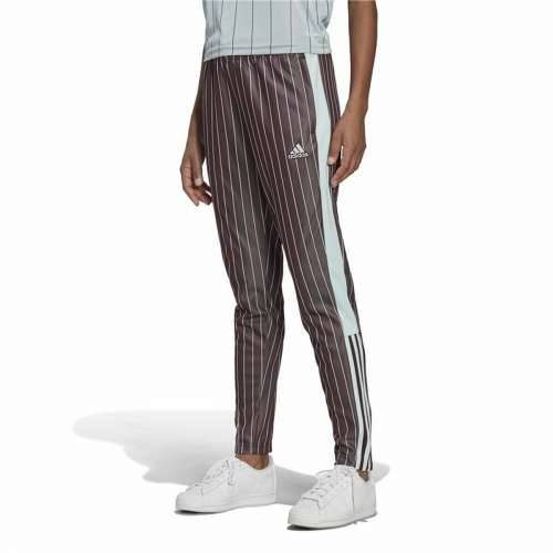 Dlhé športové nohavice Adidas Smeđa Dama Cijena