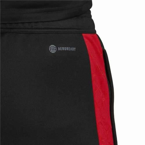 Hlače za Nogometni Trening za Odrasle Adidas Salah Crna Moški Cijena