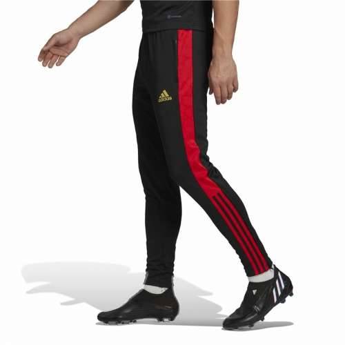 Hlače za Nogometni Trening za Odrasle Adidas Salah Crna Moški Cijena