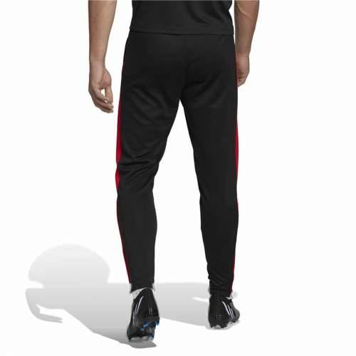 Hlače za Nogometni Trening za Odrasle Adidas Salah Crna Moški Cijena