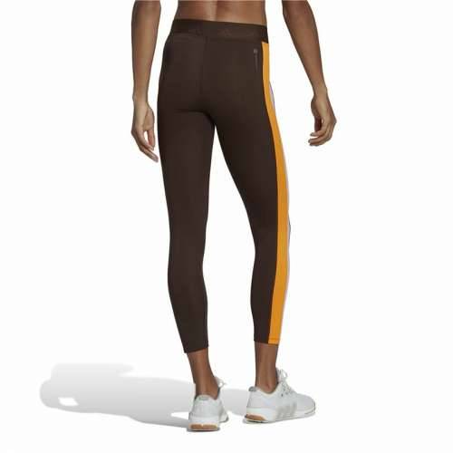 Ženske Sportske Tajice Adidas Hyperglam 7/8 Smeđa Cijena