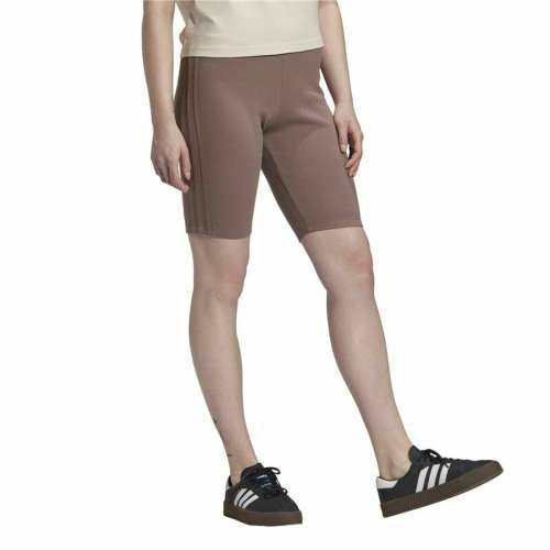 Ženske Sportske Tajice Adidas Bikers Smeđa Cijena