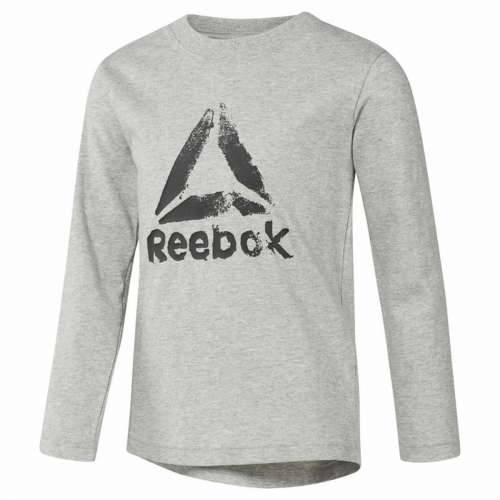 Dječja Majica Dugih Rukava Reebok Boys Training Essentials Svjetlo siva Cijena