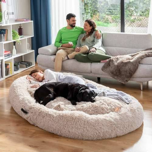 Pseći Krevet za Ljude | Human Dog Bed XXL InnovaGoods Beige Cijena
