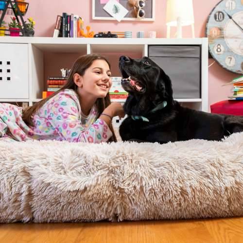 Pseći Krevet za Ljude | Human Dog Bed XXL InnovaGoods Beige Cijena