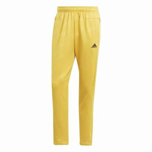Hlače za Nogometni Trening za Odrasle Adidas Moški M Cijena