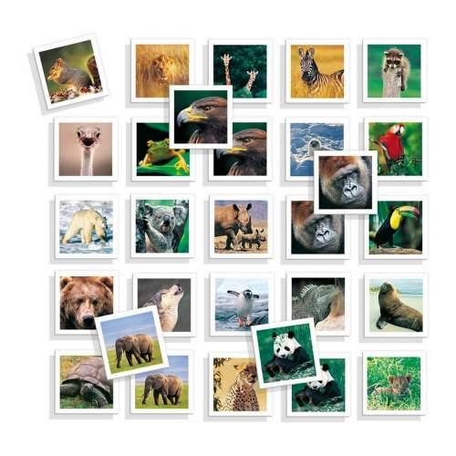 Edukativna Igra Diset Memo Photo Animales 54 Dijelovi Cijena