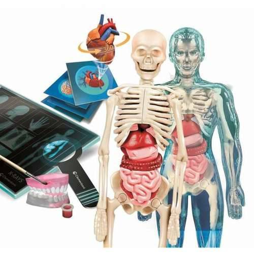 Igra Znanost Clementoni Superanatomía (ES) Cijena