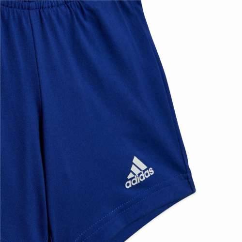 Sportski Komplet za Bebe Adidas Essentials Organic Siva Cijena