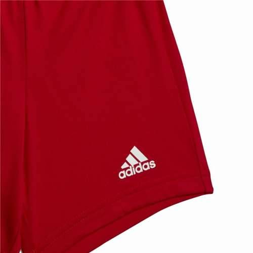 Sportski Komplet za Djecu Adidas Essentials Organic Cijena