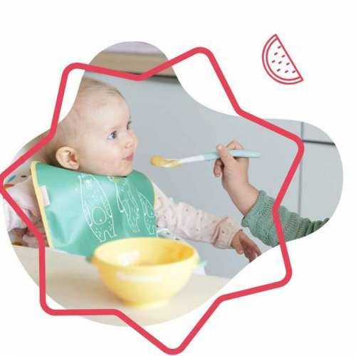 Set spremnika za dječju hranu Babymoov B005107 Cijena