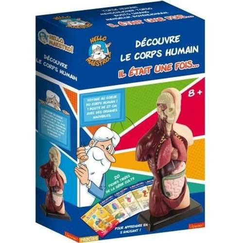Igra Znanost Educa HELLO MAESTRO Bust Anatomy (FR) Cijena