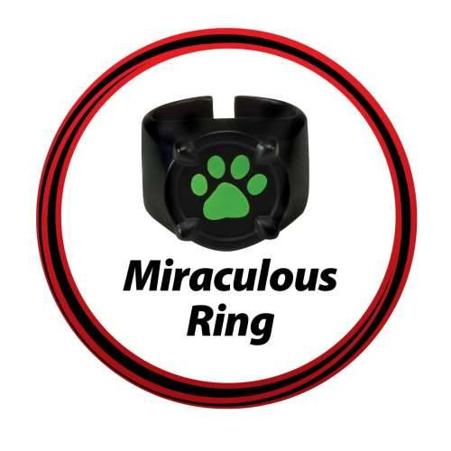 Svečana odjeća za djecu Miraculous: Tales of Ladybug & Cat Noir Transformation Set - Cat Noir 4 Dijelovi Crna Pisana Cijena