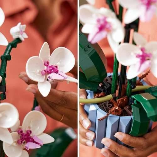 Playset Lego The Orchid Plants with Indoor Artificial Flowers Cijena