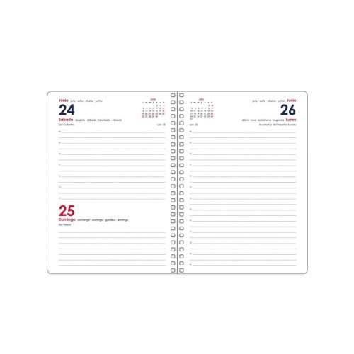 Raspored GLOSS DOHE 12574 Vijoličasta 12,5 x 18 cm Godišnji 2025 Cijena