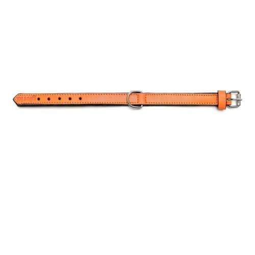 Ogrlica za pse Gloria S podstavom Oranžna (50 x 2,5 cm) Cijena