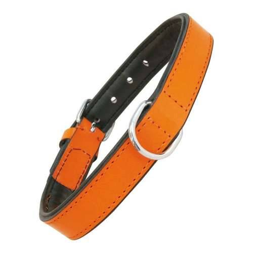 Ogrlica za pse Gloria S podstavom Oranžna (55 x 2,5 cm) Cijena