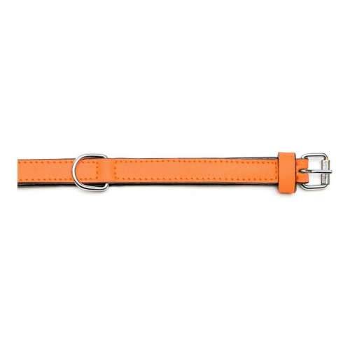 Ogrlica za pse Gloria S podstavom Oranžna (55 x 2,5 cm) Cijena