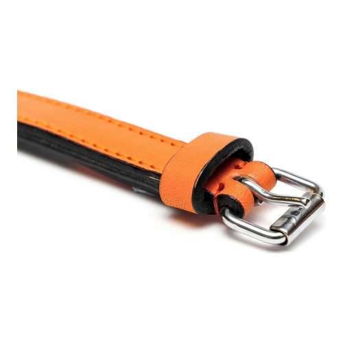 Ogrlica za pse Gloria S podstavom Oranžna (55 x 2,5 cm) Cijena