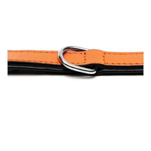 Ogrlica za pse Gloria S podstavom Oranžna (55 x 2,5 cm) Cijena