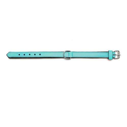 Ogrlica za pse Gloria S podstavom Turquoise 55 cm (55 x 2,5 cm) Cijena