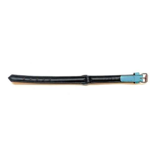 Ogrlica za pse Gloria S podstavom Turquoise 55 cm (55 x 2,5 cm) Cijena
