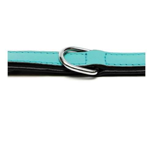 Ogrlica za pse Gloria S podstavom Turquoise 55 cm (55 x 2,5 cm) Cijena