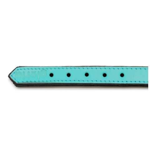 Ogrlica za pse Gloria S podstavom Turquoise 55 cm (55 x 2,5 cm) Cijena