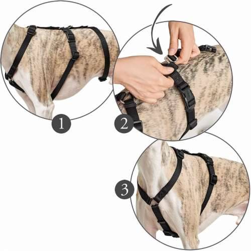 Orma za pse Hunter 48-70 cm Crvena S/M 36-51 cm Cijena