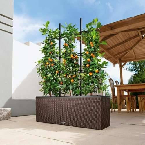 Posuda Lechuza 100 x 32 x 34 cm Plastika Pravokutno Cijena