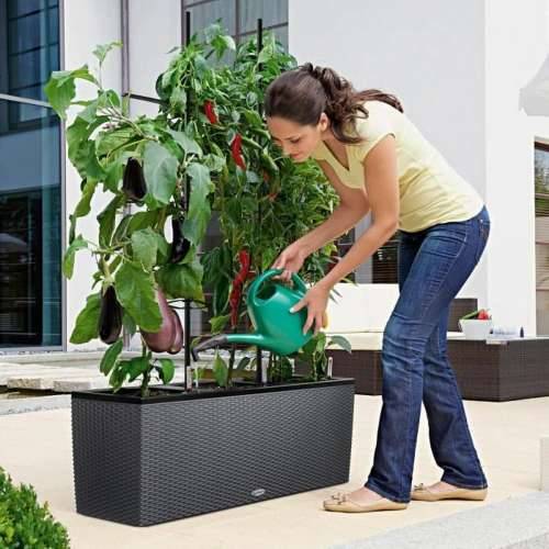 Posuda Lechuza 100 x 32 x 34 cm Plastika Pravokutno Cijena