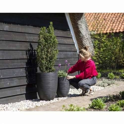 Tegla za biljke Capi Europe Crna Plastika Okruglo Cijena