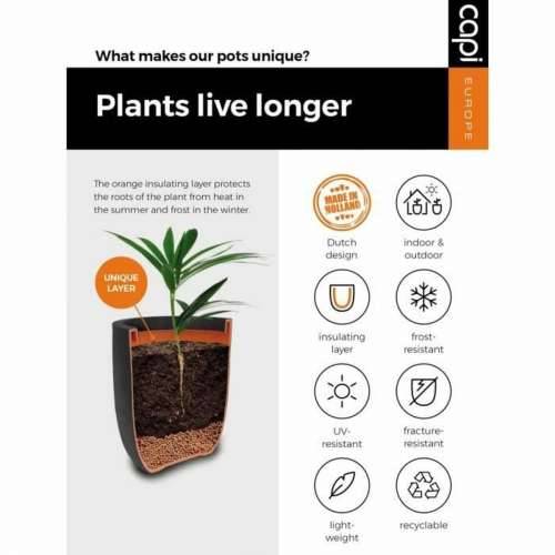 Tegla za biljke Capi Europe Nature Rib Antracitna Plastika Cijena