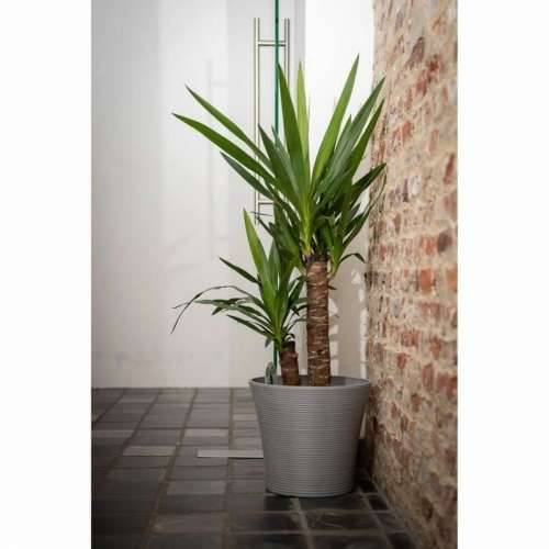 Tegla za samozalijevanjem Garden ID Taupe Boja 15 x 30 x 15 cm Cijena