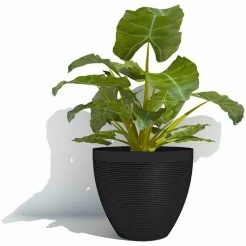 Posuda Garden ID Crna 30 x 26 cm Cijena