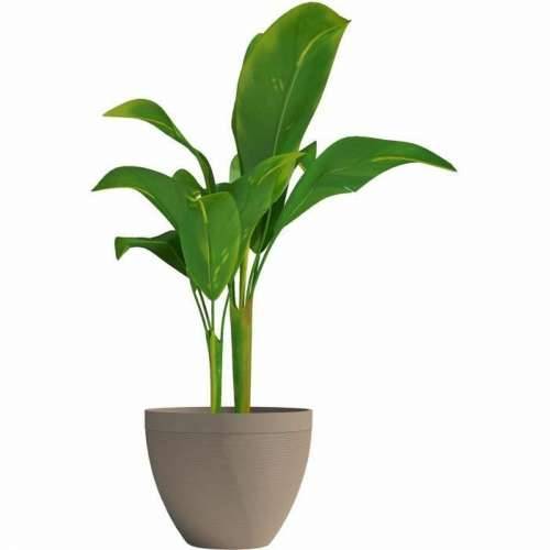 Posuda Garden ID Taupe Boja 40 x 31 cm Cijena