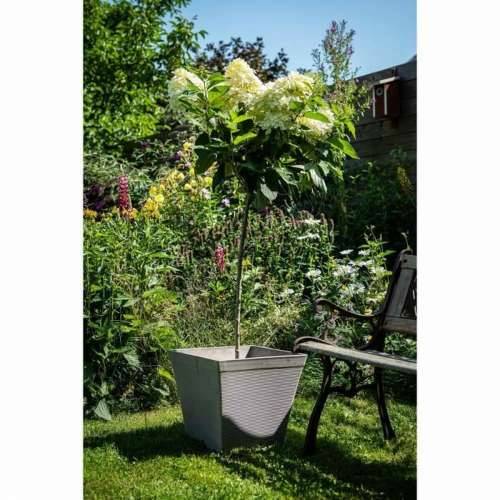 Posuda Garden ID Taupe Boja Kvadratno 29 x 26 cm Cijena