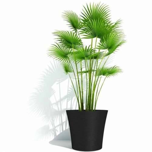 Posuda Garden ID Crna 30 x 27 cm Cijena