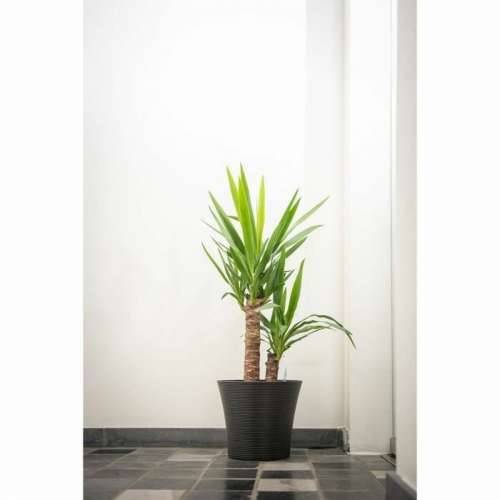 Posuda Garden ID Crna 30 x 27 cm Cijena