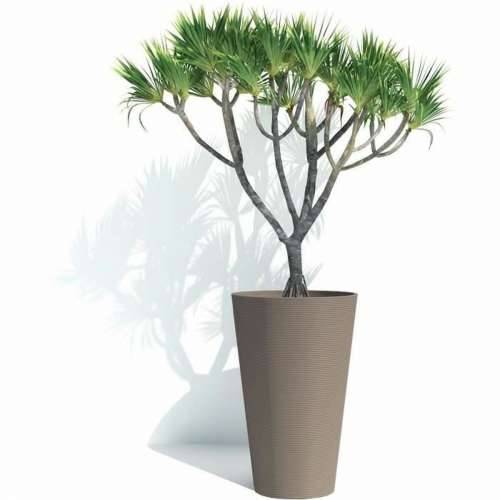 Tegla za biljke Garden ID Cijena