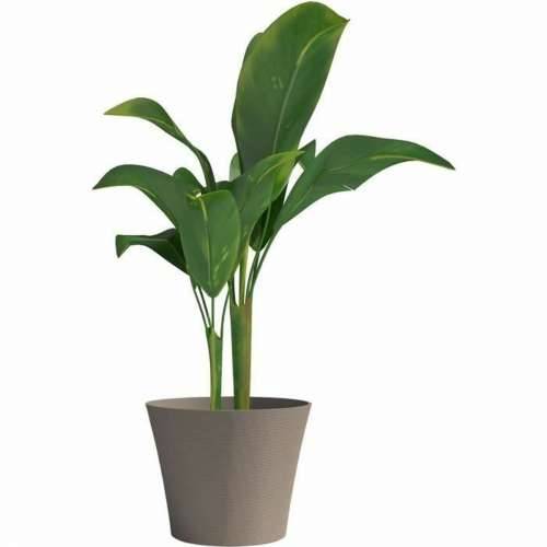 Posuda Garden ID Taupe Boja 30 x 27 cm Cijena