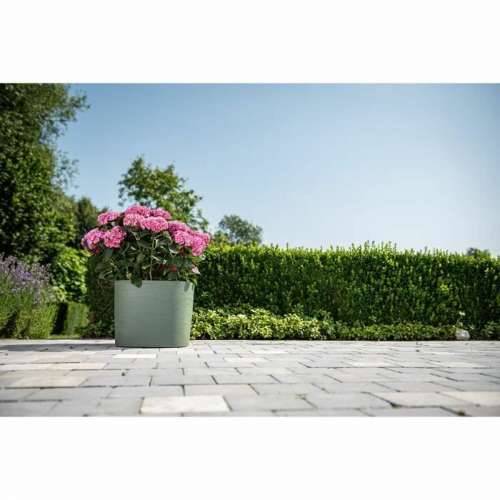Tegla za samozalijevanjem Garden ID Svetlozelený 20 x 20 cm Cijena