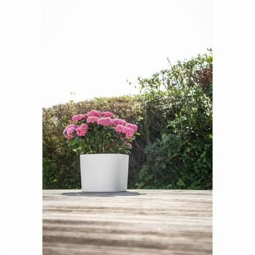 Tegla za samozalijevanjem Garden ID Bijela 25 x 25 cm Cijena