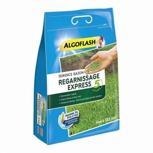 Zrna/žitarice Algoflash Express Travnjak 3 Kg Cijena