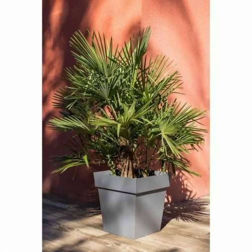 Tegla za biljke EDA Tuscany Siva Tamno sivo Kvadratno Ø 50 cm Cijena