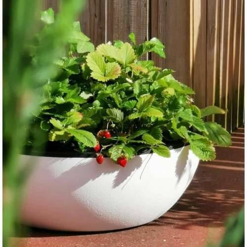 Posuda Riviera   Bijela Ø 40 cm Cijena