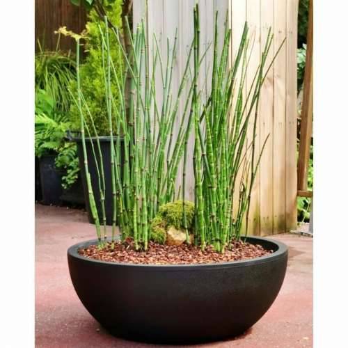 Posuda Riviera RIVIERA Crna Ø 40 cm Cijena