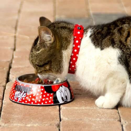 Hranilica za pse Minnie Mouse Melamin 410 ml Pisana Poliester Metal Cijena