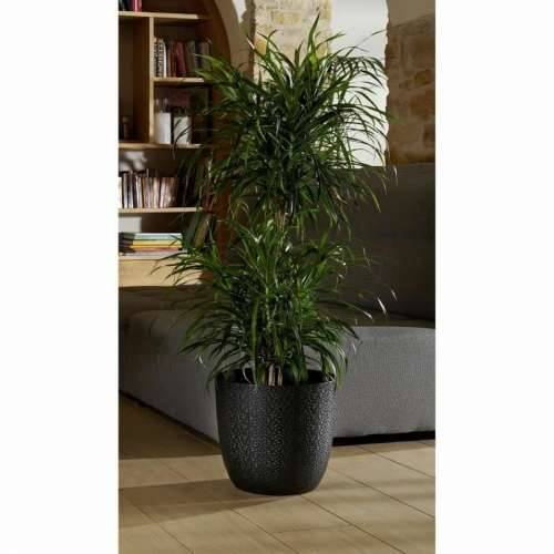 Posuda EDA Opal Chape Crna Ø 29,5 cm Cijena