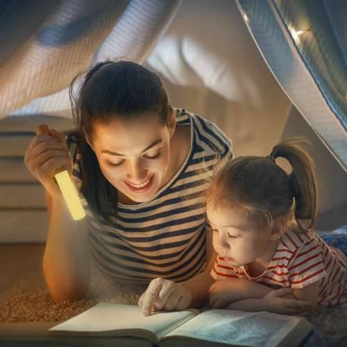 2 u 1 magnetna punjiva LED svjetiljka EDM 32157 Punjivo Cijena
